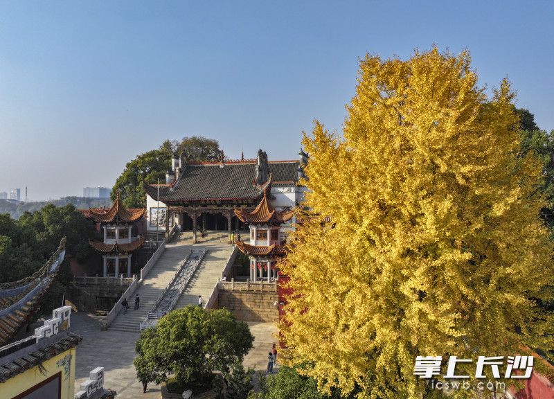 秋色下的㮾梨街道陶公庙。