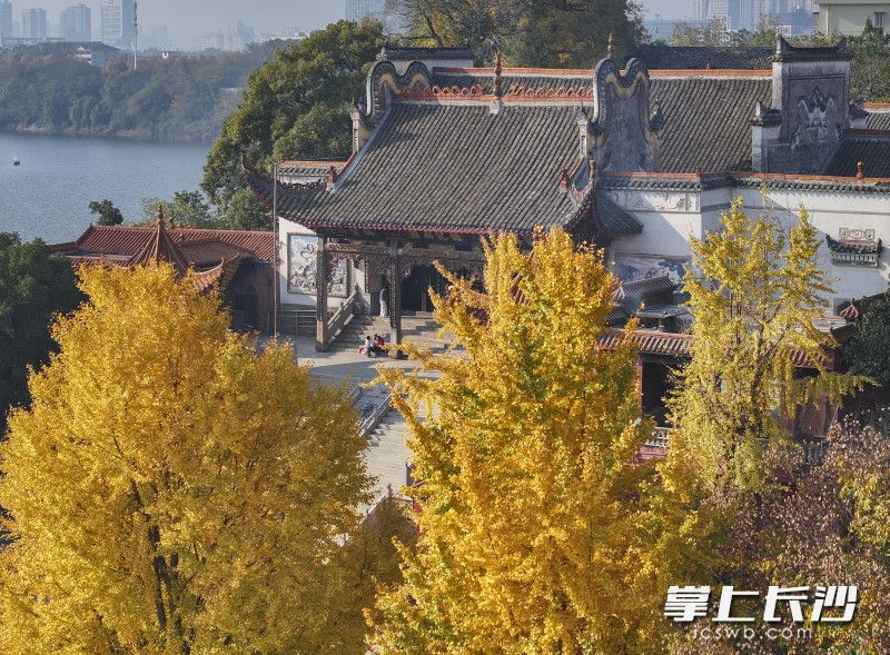 秋色下的㮾梨街道陶公庙。