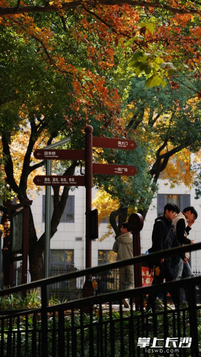 今日长沙还是妥妥的好天气。 均为长沙晚报全媒体记者 舒元臻 摄 今日长沙还是妥妥的好天气。 均为长沙晚报全媒体记者 舒元臻 摄