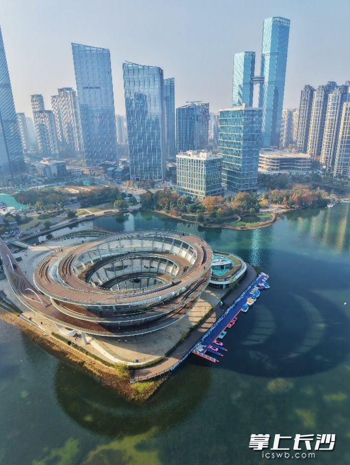 生长在高楼中的梅溪湖地标。