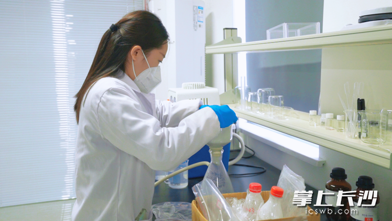 冯梦梦实验室在进行实验。 均为全媒体记者 周游 通讯员 湛亦聪 摄影报道