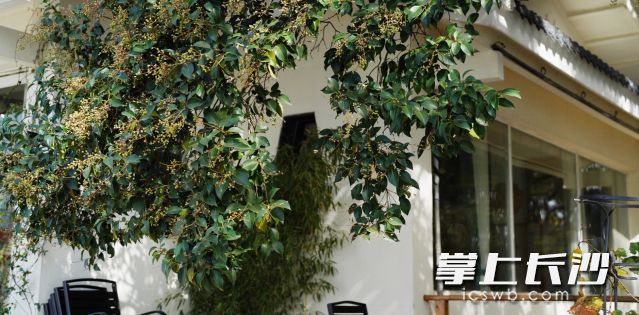 适当“裹紧”,应对此次弱降温过程。 适当“裹紧”,应对此次弱降温过程。