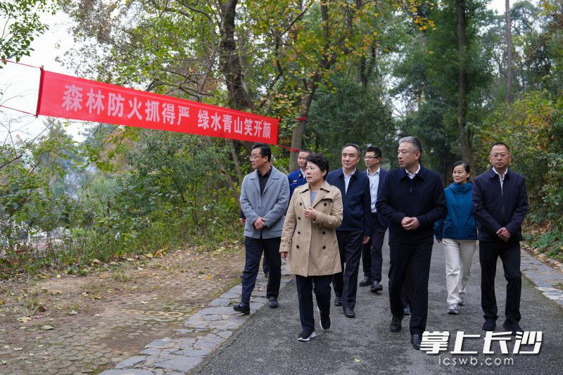 岳麓山巡林现场。 均为长沙晚报全媒体记者 郭雨滴 摄 岳麓山巡林现场。 均为长沙晚报全媒体记者 郭雨滴 摄