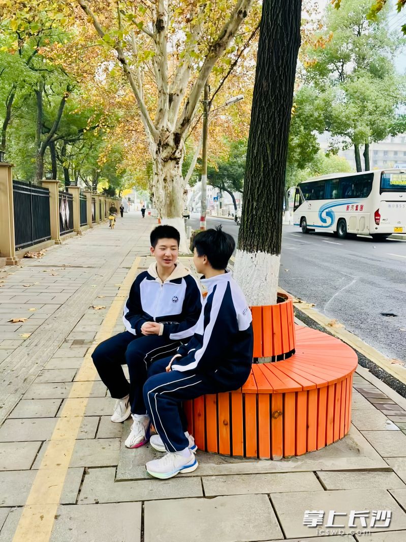 孩子们放学后来树下讨论习题。