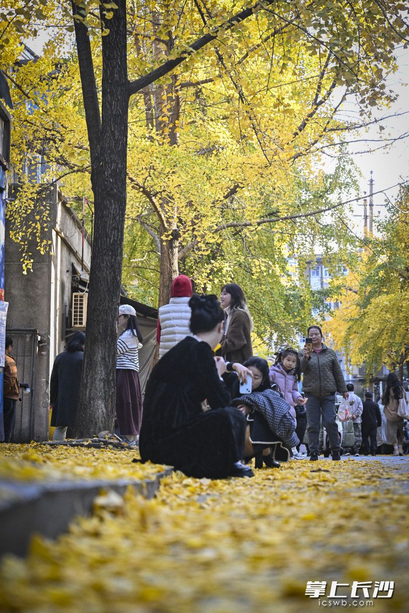 众多游人来到国庆巷打卡。