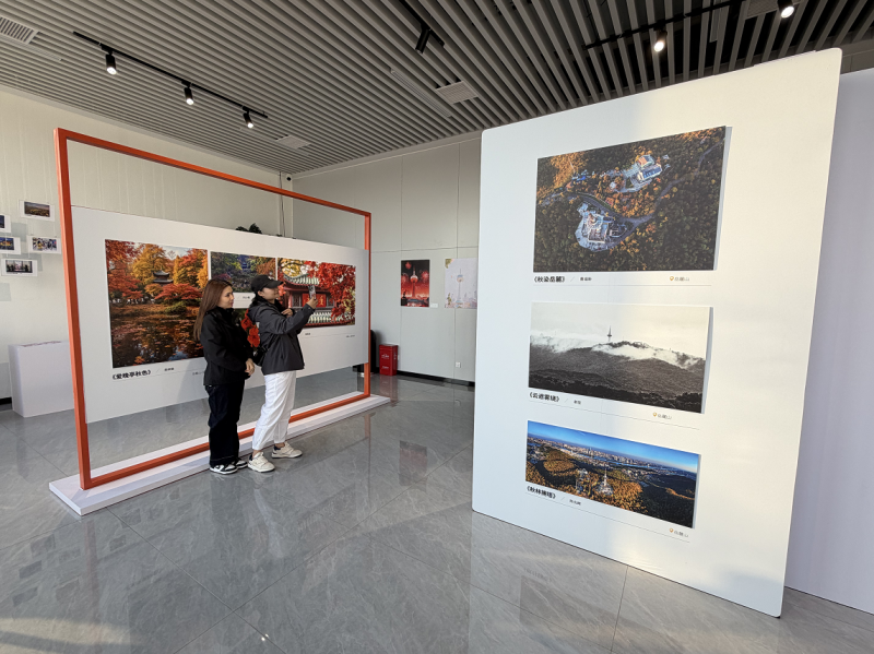 数组岳麓红枫照,指引游客寻觅长沙秋景。均为主办方供图 数组岳麓红枫照,指引游客寻觅长沙秋景。均为主办方供图