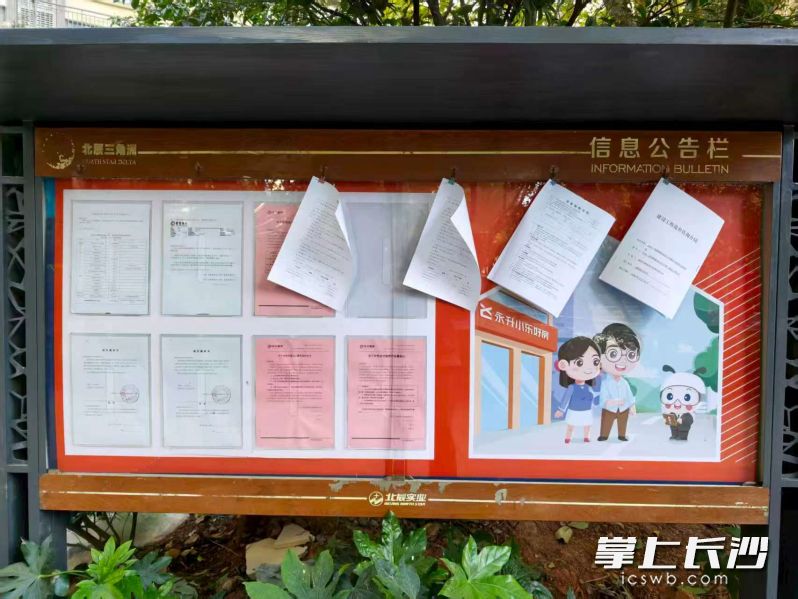 小区公共收益管理账单公示在信息公告栏内。市住建局供图