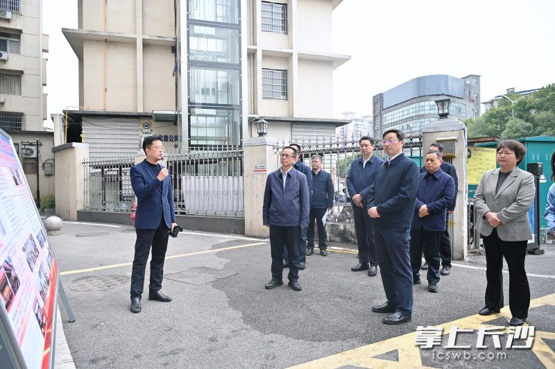 调研现场。 长沙晚报通讯员 张圣贺 摄