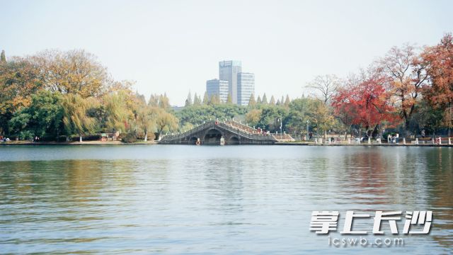 今日下午14时长沙仅12.1℃。 长沙晚报全媒体记者 舒元臻 摄