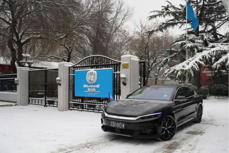 比亚迪公务用车在海外时有所见。 均为比亚迪供图 比亚迪公务用车在海外时有所见。 均为比亚迪供图