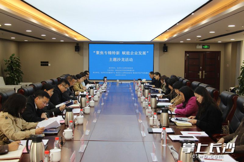 雨花经开区举办“聚焦专精特新，赋能企业发展”主题沙龙。 通讯员 刘佳妮 摄