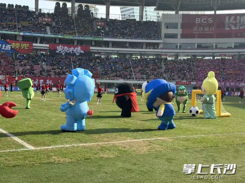 玩偶大作战。 玩偶大作战。