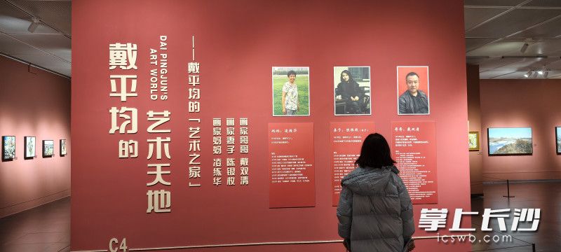 特别的C4展厅。