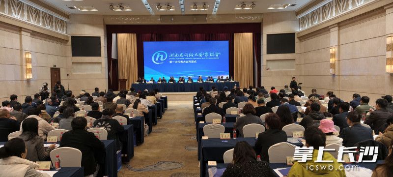 会议现场。长沙晚报全媒体记者 肖舞 摄