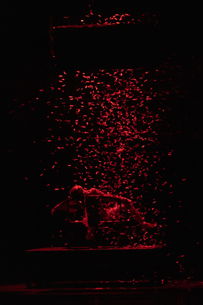 豆蔻之死。 豆蔻之死。