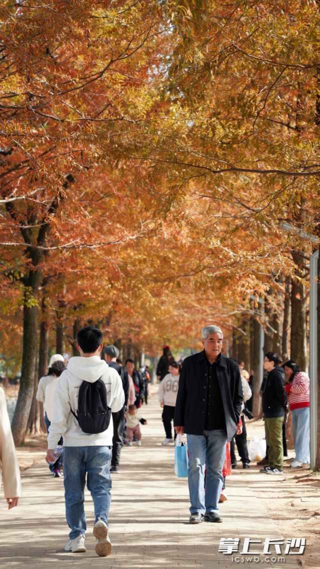 市民要关注最新天气信息，提前做好防寒防风准备。   长沙晚报全媒体记者 舒元臻 摄