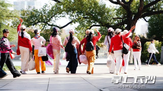 本周前期长沙保持舒适宜人的好天气，最高气温可达22℃。  长沙晚报全媒体记者 舒元臻 摄