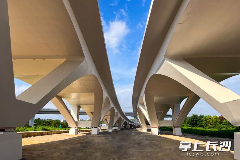 梧桐路三号桥采用双幅桥体设计。