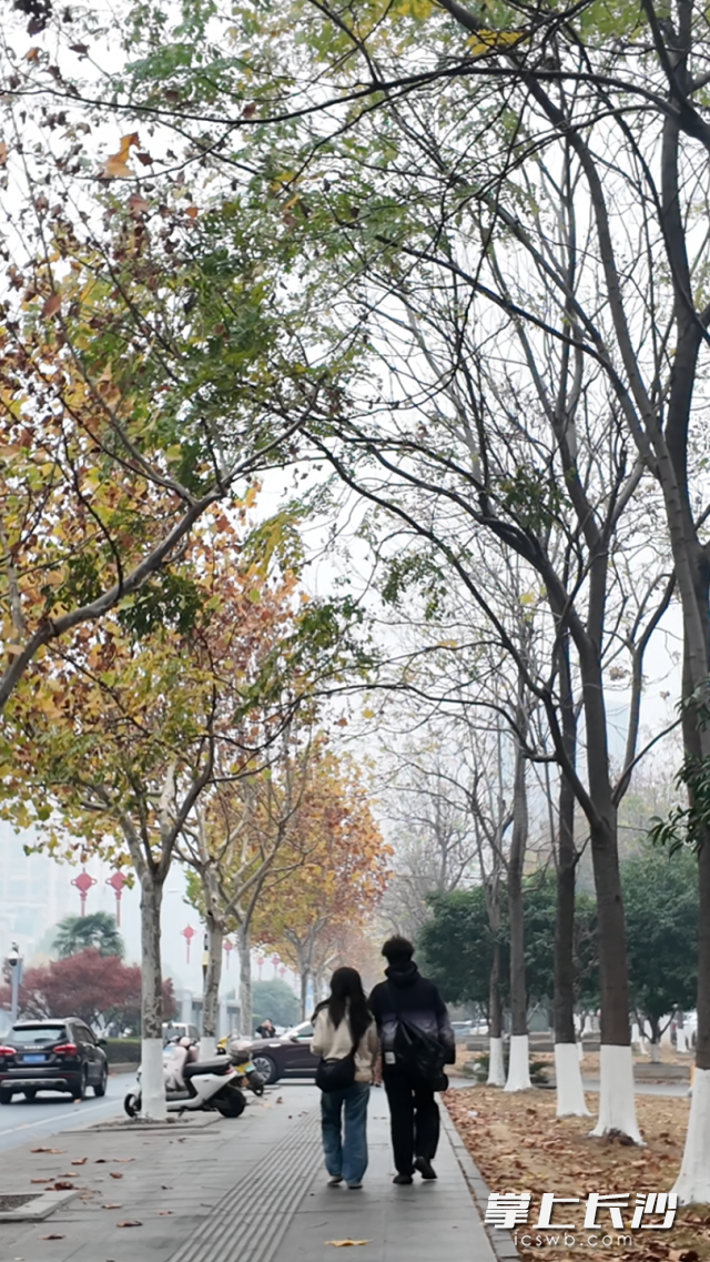 市民朋友宜根据天气变化灵活安排生活与出行。 长沙晚报全媒体记者 林暘 摄 市民朋友宜根据天气变化灵活安排生活与出行。 长沙晚报全媒体记者 林暘 摄