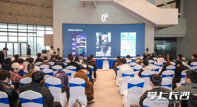 活动现场。 均为长沙晚报全媒体记者匡小娟摄