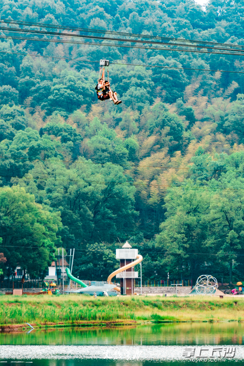 滑翔而下的极速飞索。 滑翔而下的极速飞索。