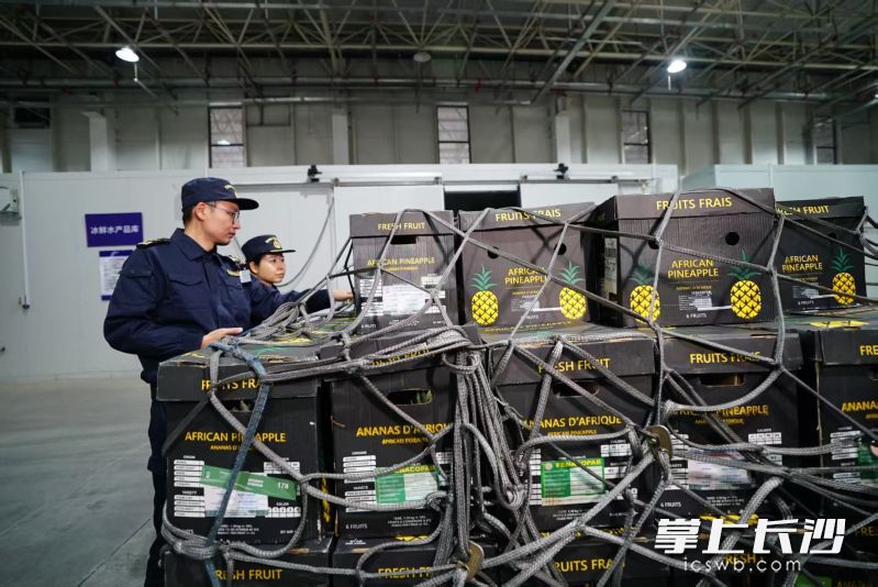 货物抵港后，现场关员快速核对证单，对包装及水果外观实施查验，实现快速放行。 通讯员供图