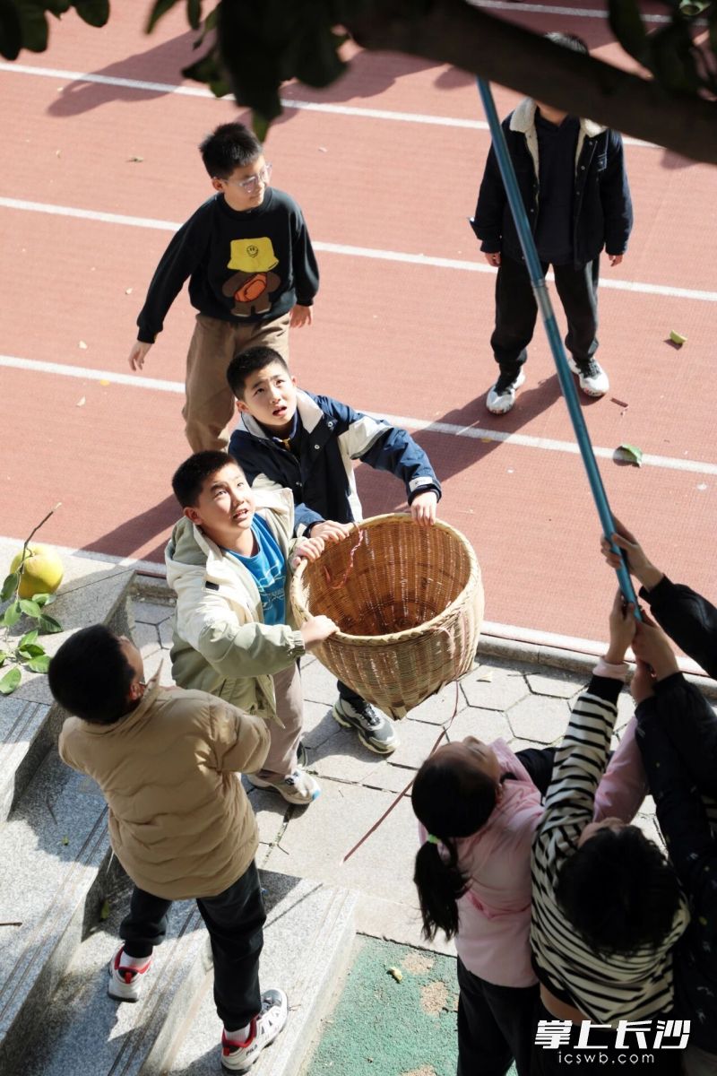 小组合作，打下快乐果实。