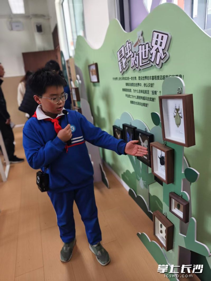 志愿者用专业的态度跟家长科普昆虫的世界。