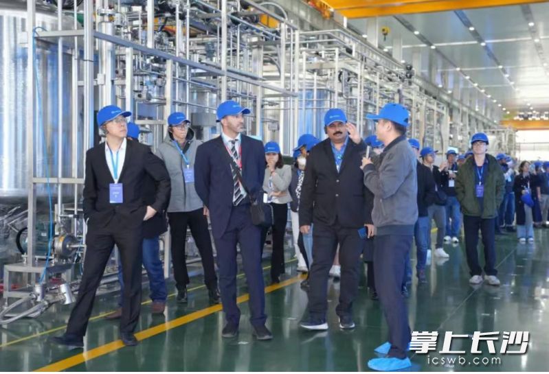 12月9日,国际客商参观楚天科技。这样的工厂开放日活动,每年都会举办。受访企业供图 12月9日,国际客商参观楚天科技。这样的工厂开放日活动,每年都会举办。受访企业供图