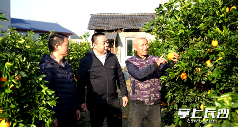 果农彭小春（右一）在和长沙帮扶队员分享丰收喜悦。