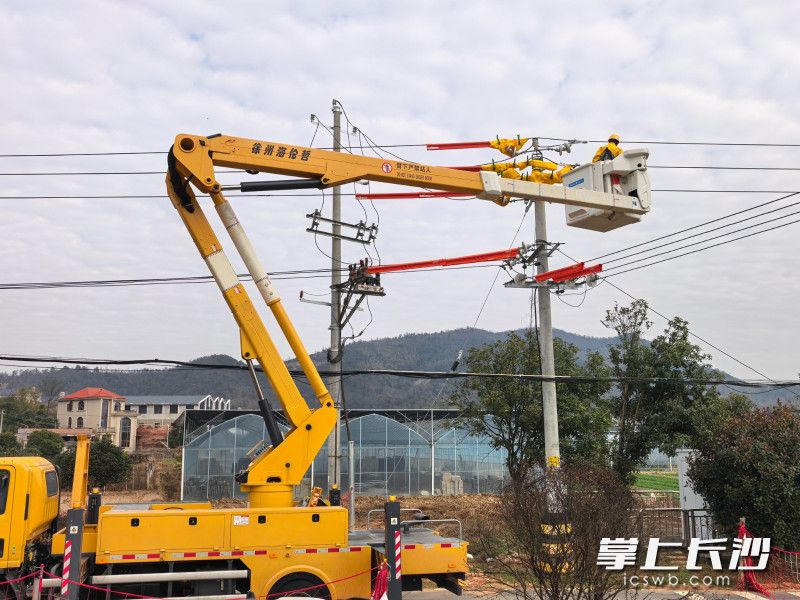 国网湘江新区供电公司采用“三点位旁路带电作业”技术对10千伏莲华线6支线进行升级改造。通讯员舒杨供图