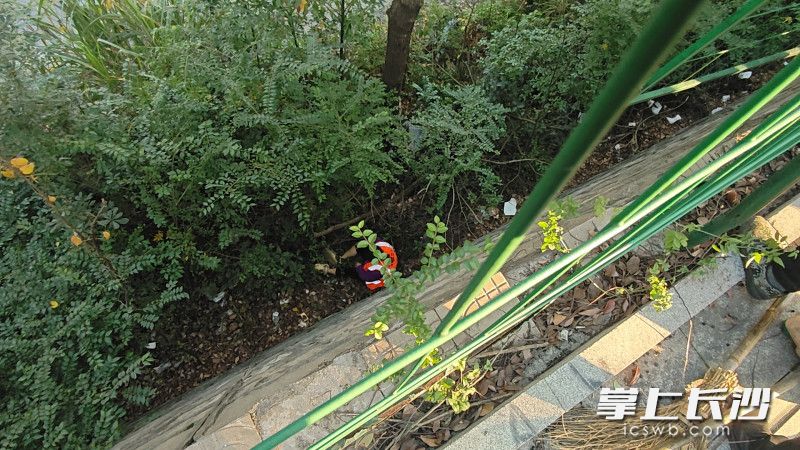 环卫工人从高处掉落，急需救援。 均为长沙晚报通讯员 王磊 摄