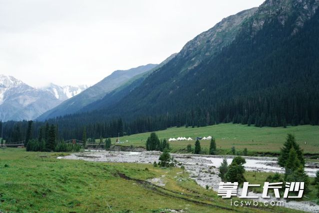 下午14时，湖南大部地区最高气温纷纷跌至10℃以下，长沙仅8.6℃。  长沙晚报全媒体记者 舒元臻摄