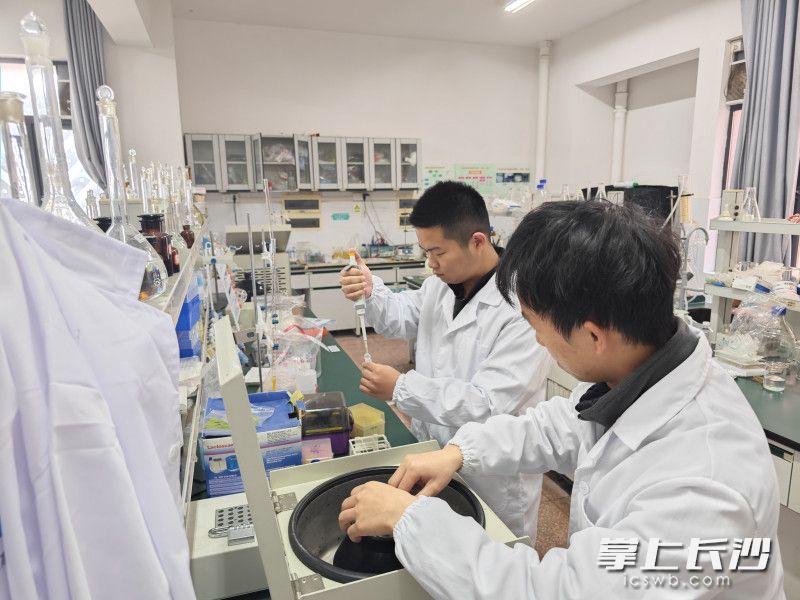 杨时若和创业伙伴正在做实验。 均为受访者供图