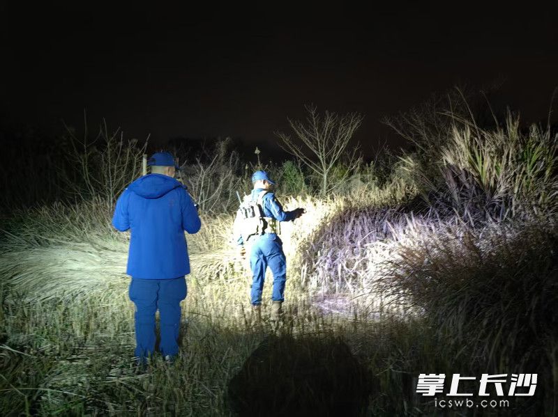 队员们在寒夜里搜寻。