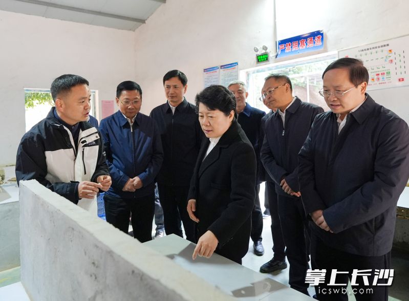 浏阳象形精品烟花出口制造有限公司调研现场。 均为长沙晚报全媒体记者 郭雨滴 摄