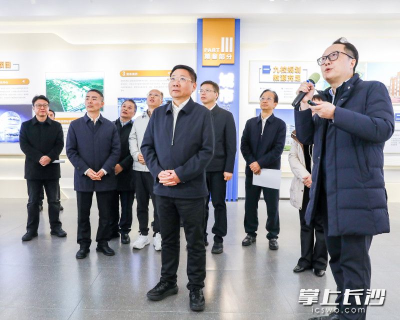 陈博彰调研苏托垸片区规划建设。 均为长沙晚报全媒体记者 董阳 摄