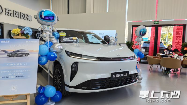 现场展示的东风风神L8。 现场展示的东风风神L8。