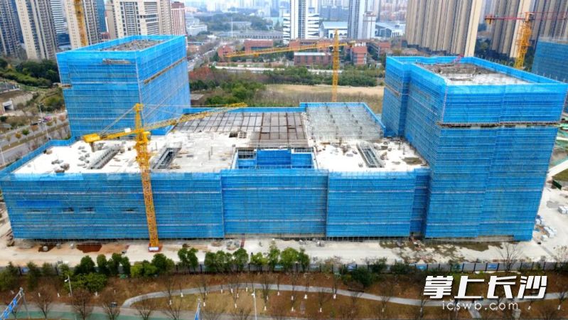 项目施工现场。