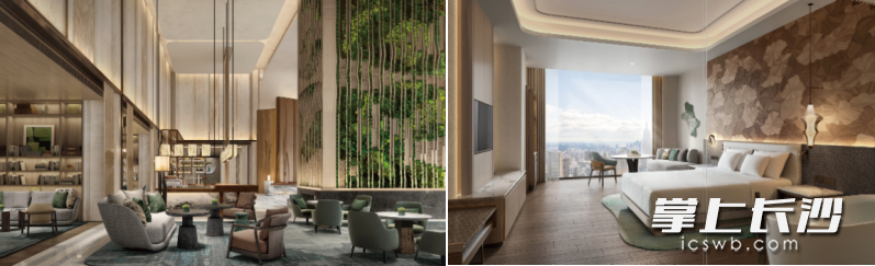 长沙威斯汀酒店大堂吧、大床房（效果图）。 市文旅广电局供图