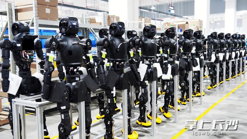 蓝思智能首批整机组装机器人。 长沙晚报通讯员 戴乐 供图 蓝思智能首批整机组装机器人。 长沙晚报通讯员 戴乐 供图