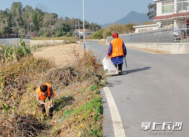 老粮仓镇的村民志愿者、镇村党员干部等，联合环卫人员一起开展清洁行动。 均为长沙晚报通讯员贺林供图
