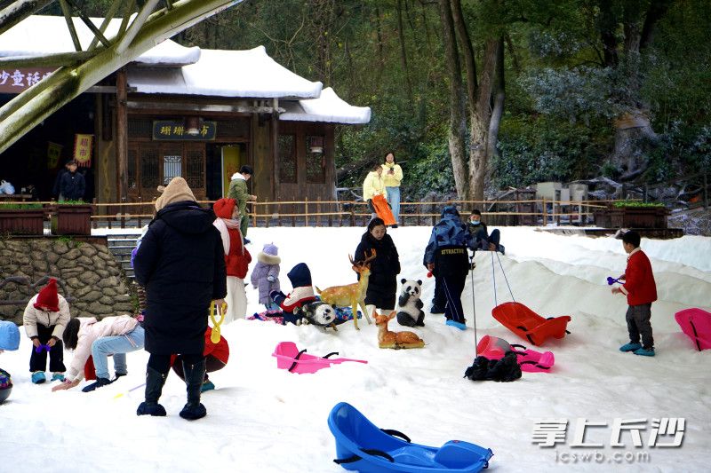 随手一拍皆是冬日氛围感大片。