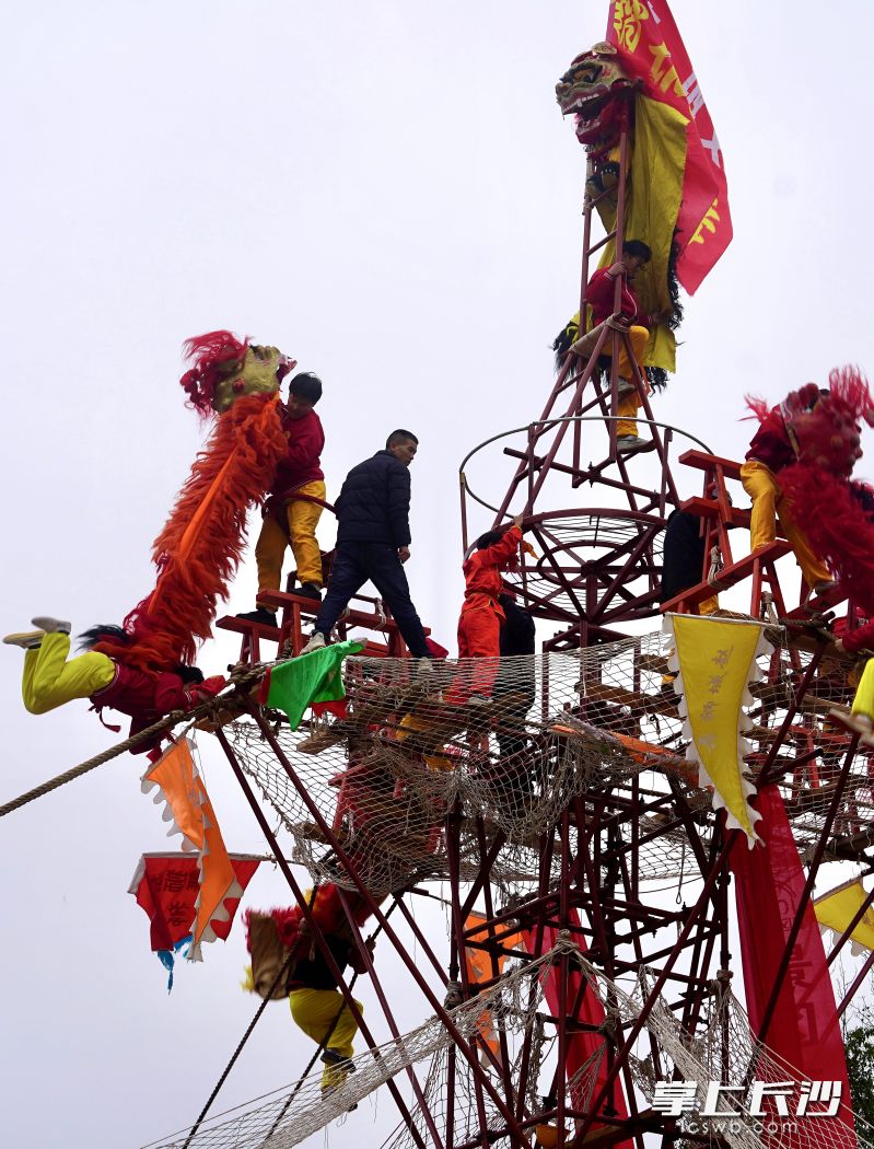 中原北狮赵城狮舞在20米高空上演狮王争霸。 均为长沙晚报全媒体记者贺文兵摄 中原北狮赵城狮舞在20米高空上演狮王争霸。 均为长沙晚报全媒体记者贺文兵摄