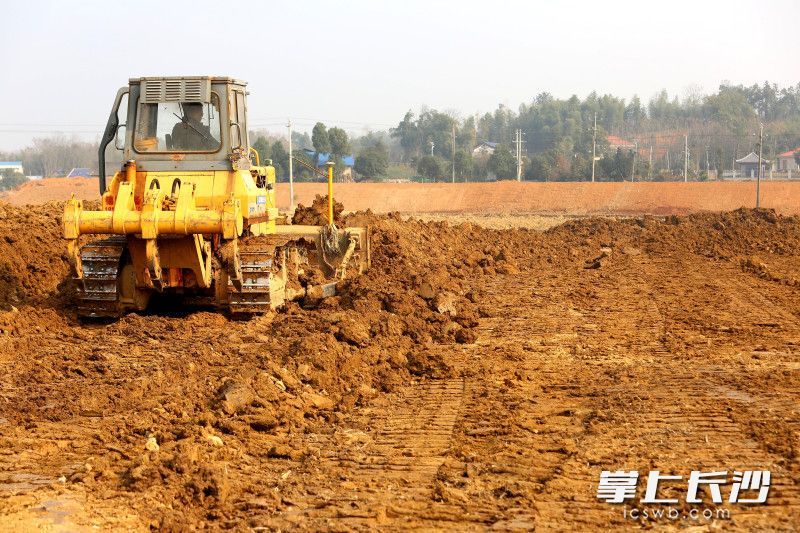 农田平整正在有序推进。 均为长沙晚报全媒体记者贺文兵摄
