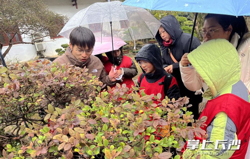 孩子们在园林老师的带领下开启探景之旅。 均为长沙晚报全媒体记者贺文兵摄