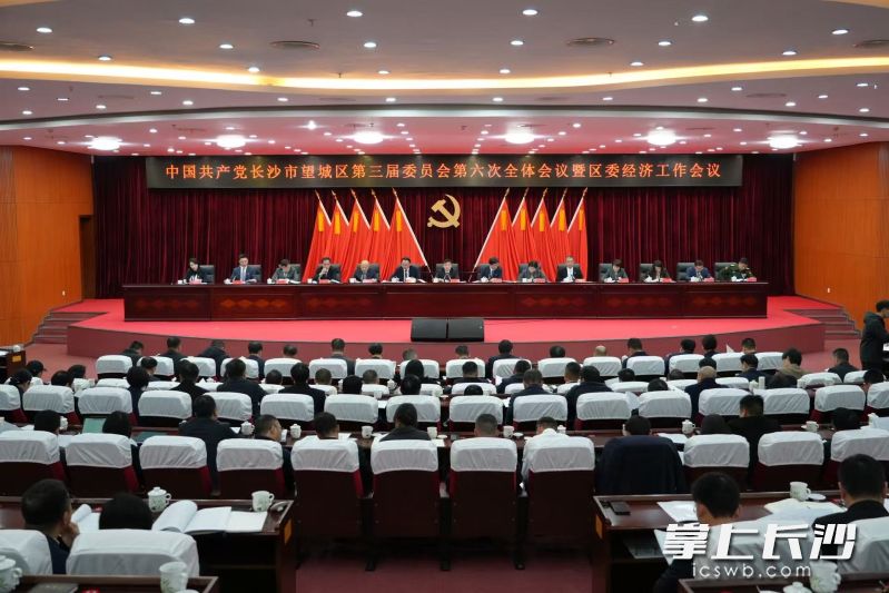 望城区委三届六次全体会议暨区委经济工作会议召开。 长沙晚报通讯员 黄旭里 供图