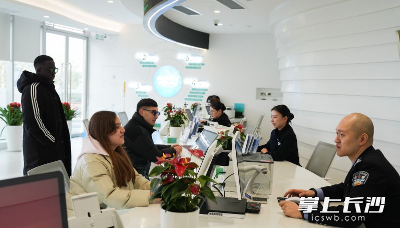 一站式服务平台可提供多项政务服务。