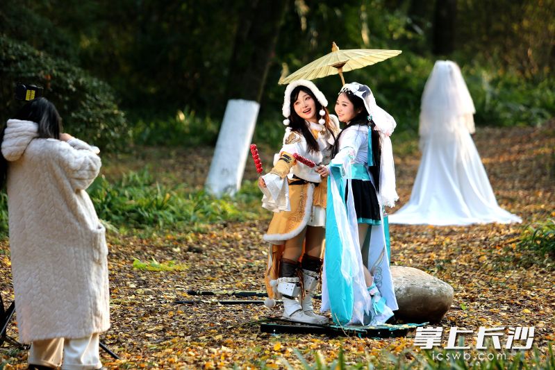 今日，众多市民、游客到烈士公园赏景打卡。 均为长沙晚报全媒体记者贺文兵摄