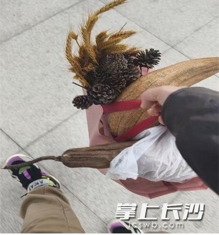 刘丽华收集的植物标本。